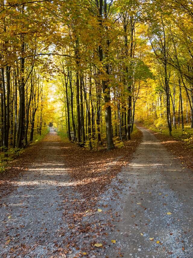 fork in the road