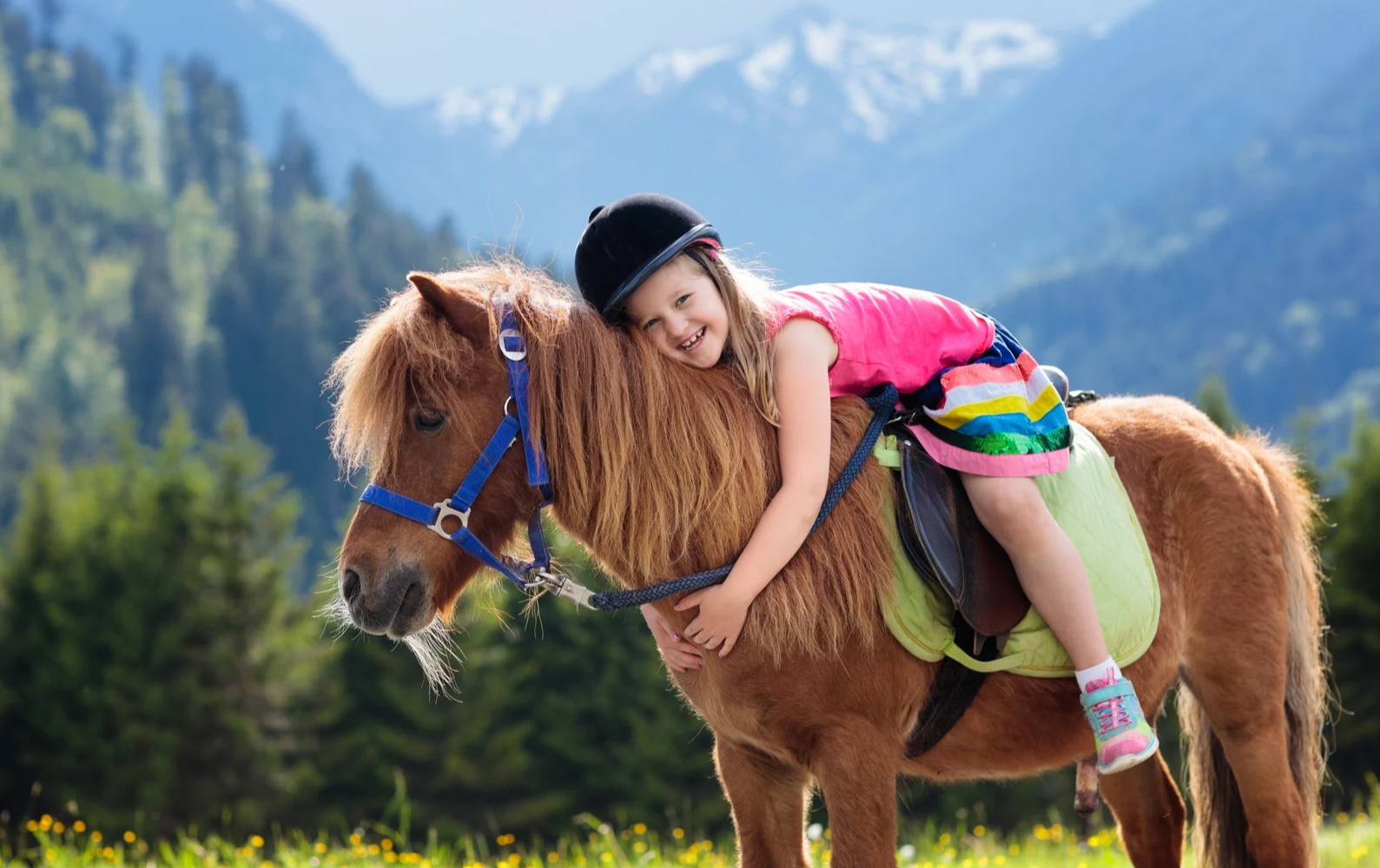 horse therapy for autism