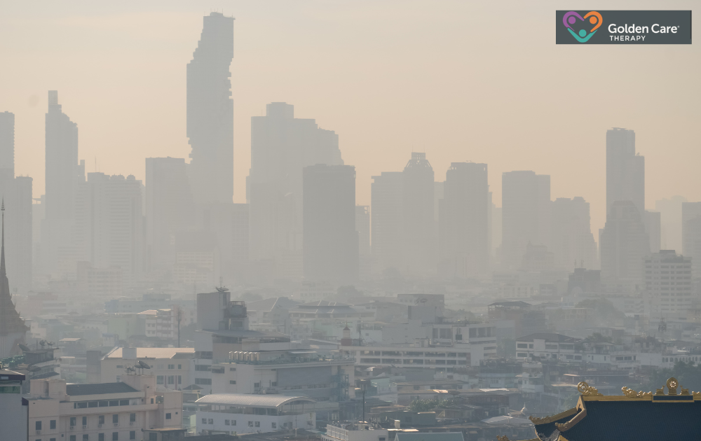 does air pollution cause autism