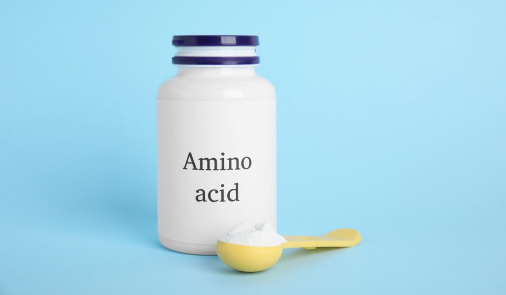 amino acids for children with autism