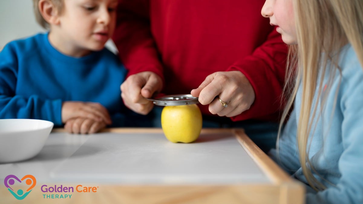 ABA Therapy Hours by Age and Needs